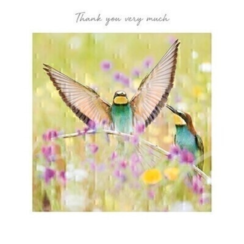 Thank You Very Much Greetings Card by Paper Rose This Thank You greetings card called Thank You Birds features two colourful birds in a meadow of flowers with Thank You Very Much written on the front.  This card is perfect to send to someone you want to thank and has been left blank inside so you can write your own message. It comes complete with an envelope and is a lovely card from the Art Group.
